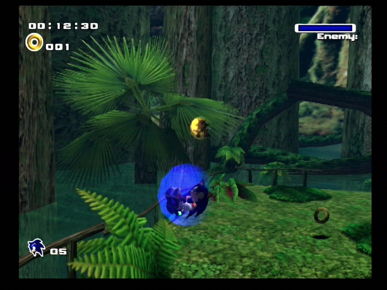 Sonic Adventure DX - PCGamingWiki PCGW - bugs, fixes, crashes, mods, guides  and improvements for every PC game