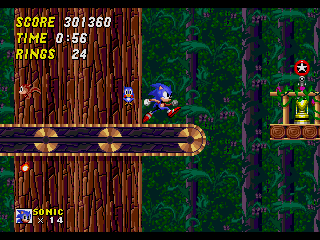 Wood Zone