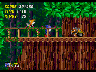 Wood Zone