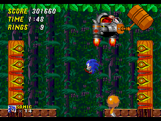 Wood Zone Robotnik