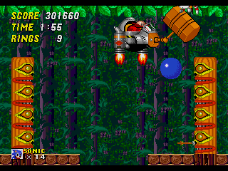 Wood Zone Robotnik